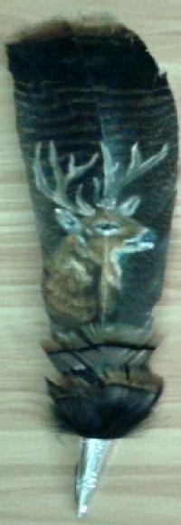 Deer Head on  Feather