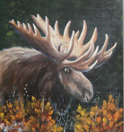 Moose Head