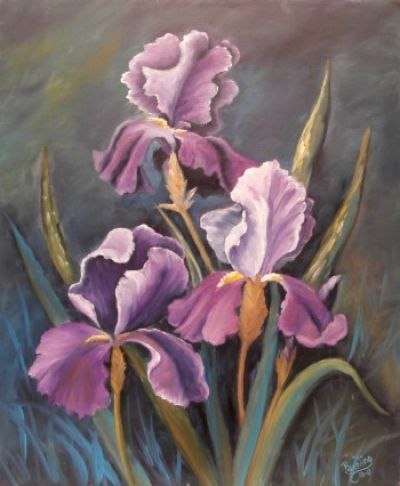 Irises