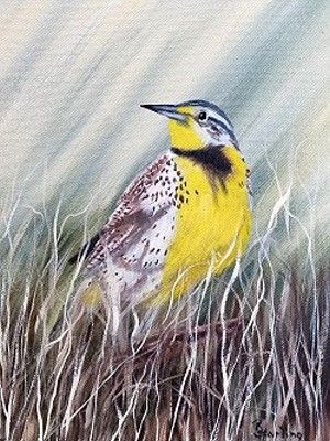 Meadowlark