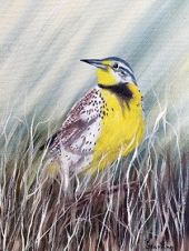 Meadowlark