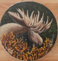 Moose Head