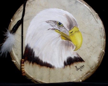 Bald Eagle Head