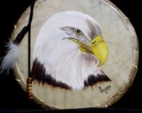 Bald Eagle Head