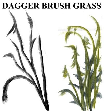 Dager Brush Grass