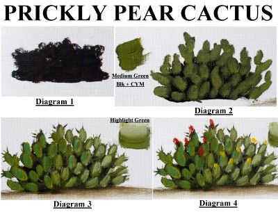 Prickly Pear Cactus